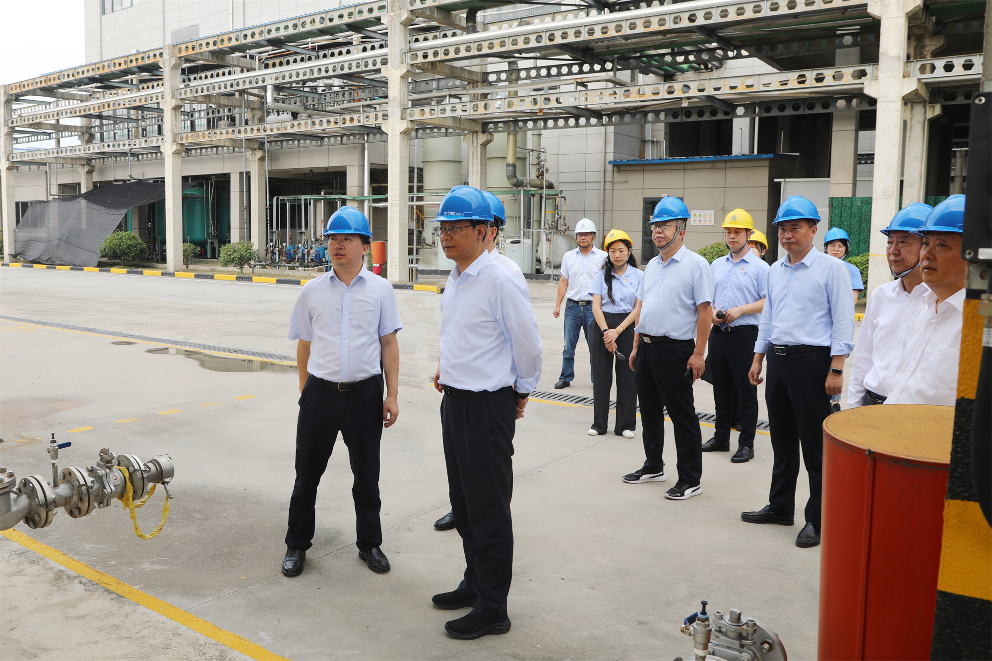 市委书记王进健赴旺佳药业开展节前安全生产检查